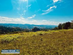 Budowlana działka z widokiem na góry - Obrazek 4