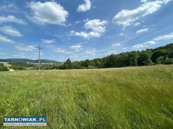 Działka rolno-budowlana, Czermna, 0,57ha - Obrazek 1