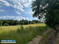 Działka rolno-budowlana, Czermna, 0,57ha - Obrazek 3