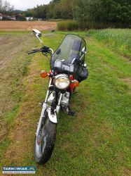 Daelim vc 125 - Obrazek 3