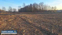 Działki budowlane Łęg Tarnowski - Obrazek 2