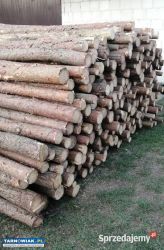 Sprzedam Tanio Stemple Budowlane -każdy wymiar. - Obrazek 3