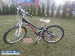 Rower Trek - Obrazek 1