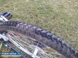 Rower Trek - Obrazek 3