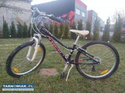 Rower Trek - Obrazek 4