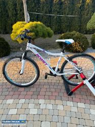 Rower Romet Jolene - Obrazek 1