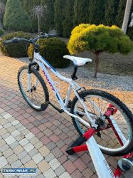 Rower Romet Jolene - Obrazek 2