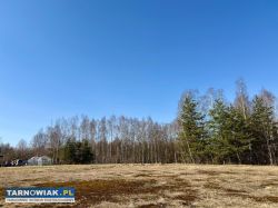 15 ar budowlana pogórska wola - Obrazek 1