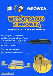 Współpracuj z Mrówką - Obrazek 1