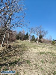 Działka 19 ar Janowice gm. Pleśna TYLKO 72 Tys. - Obrazek 3