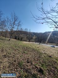 Działka 19 ar Janowice gm. Pleśna TYLKO 72 Tys. - Obrazek 4