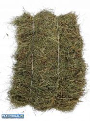 Siano 2025 - Obrazek 1