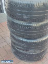 Opony tetnie - Obrazek 1