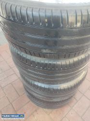 Opony tetnie - Obrazek 2