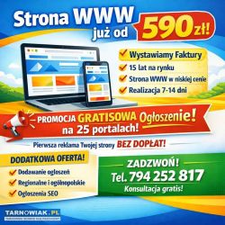 Strona internetowa od 590 zł - płacisz za tyle pod - Obrazek 1