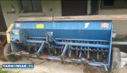 Siewnik poznaniak - Obrazek 2