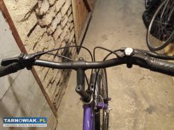 rower damka 26 koła - Obrazek 2
