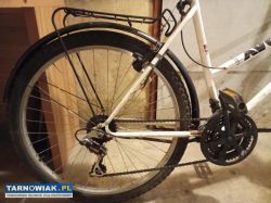 rower damka 26 koła - Obrazek 4