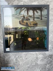 Akwarium 350L ,filtr,lampa,ryby - Obrazek 4