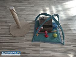 zestaw dla kota - Obrazek 3