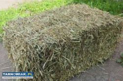 Sprzedam siano w kostkach - Obrazek 1