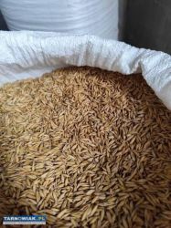 Sprzedam mieszankę zbożową - Obrazek 1