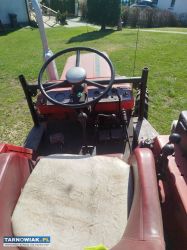 Sprzedam ruska - Obrazek 3