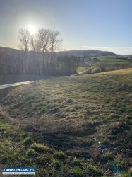 Sprzedam działkę rolną Lichwin - Obrazek 1