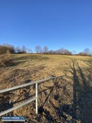 Sprzedam działkę rolną Lichwin - Obrazek 2