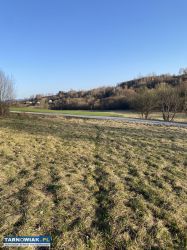 Sprzedam działkę rolną Lichwin - Obrazek 3