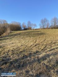 Sprzedam działkę rolną Lichwin - Obrazek 4