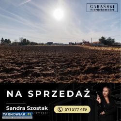 Dwie działki budowlane w radłowie - Obrazek 4