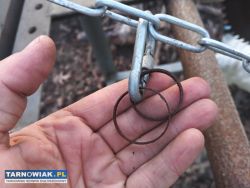 Cyrkularka z silnikiem - Obrazek 2