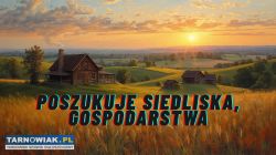 Poszukuję domu z zabudowaniami, gospodarstwa - Obrazek 1