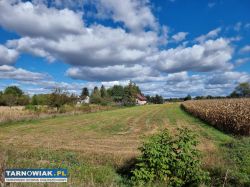 Działka budowlana Żabno - Obrazek 1