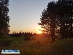 Działka budowlana Nowa Jastrząbka - Obrazek 1