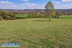 Działka budowlana Tuchów 56 arów widokowa - Obrazek 2