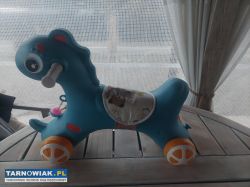 Konik -jeżdzik - Obrazek 1