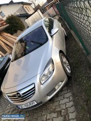 Opel Insignia 2010 2.0 diesel - Obrazek 2