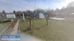 Na sprzedaż działka ROD Tarnów Mościce 3 ary - Obrazek 2