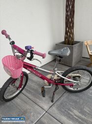 Rower  dziecięcy koła 16’ - Obrazek 1