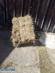 Siano w kostkach - Obrazek 1