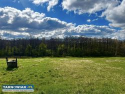 Działka budowlana w Sufczynie gm. Dębno - Obrazek 3