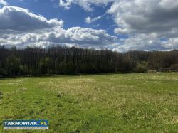 Działka budowlana w Sufczynie gm. Dębno - Obrazek 2