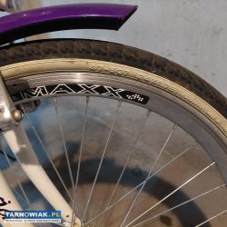 Rower dla dziewczynki - Obrazek 3