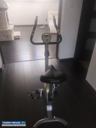 Rower stacjonarny Sapphire - Obrazek 2