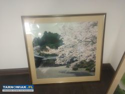 Obrazki z krajobrazem Japonii - Obrazek 4