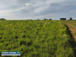 Działka budowlana dla rolnika - Obrazek 4