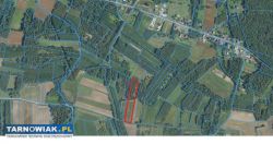 sprzedam działki rolną -Mędrzechów - Obrazek 2