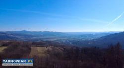 Działka siedliskowo-leśna - Obrazek 2